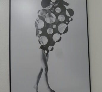 ilustrace výstavy