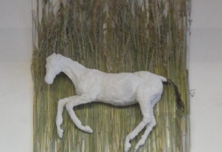 ilustrace výstavy