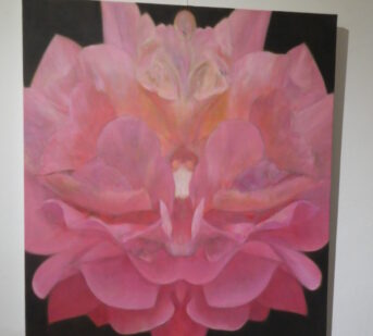 ilustrace výstavy