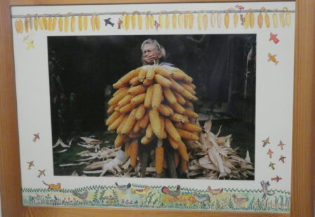 ilustrace výstavy