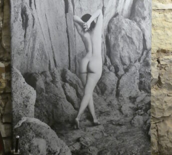 ilustrace výstavy