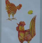 ilustrace výstavy
