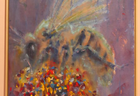ilustrace výstavy