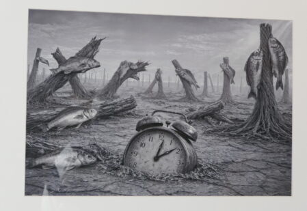 ilustrace výstavy