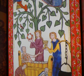 ilustrace výstavy