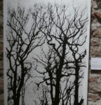 ilustrace výstavy