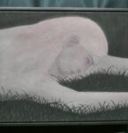 ilustrace výstavy