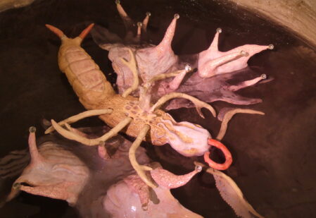 ilustrace výstavy