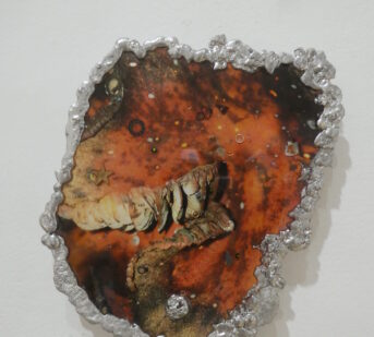 ilustrace výstavy